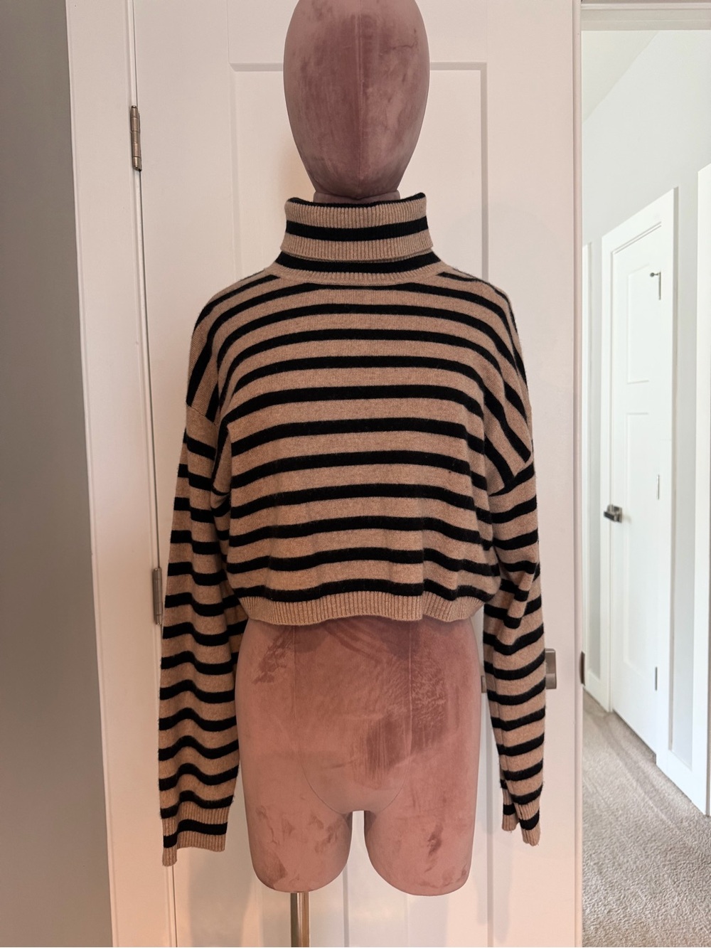 Cropped Striped Turtleneck Sweater - Black & Beige